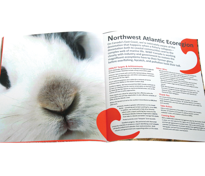 WWF Annual Report
