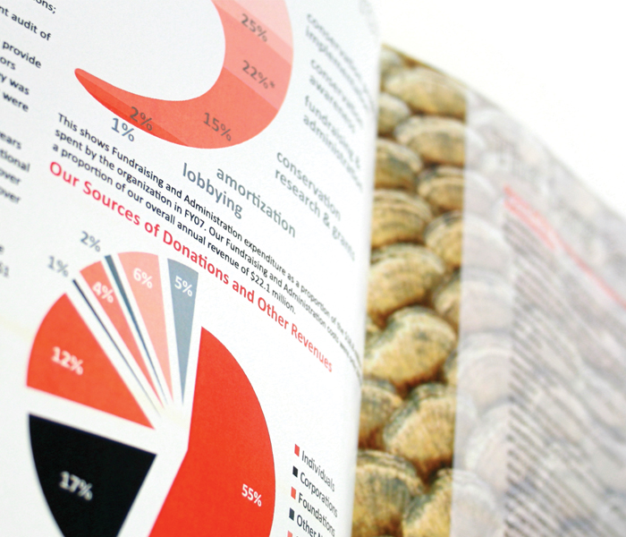 WWF Annual Report