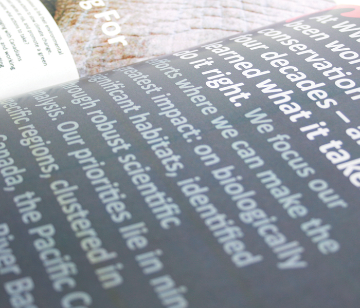 WWF Annual Report